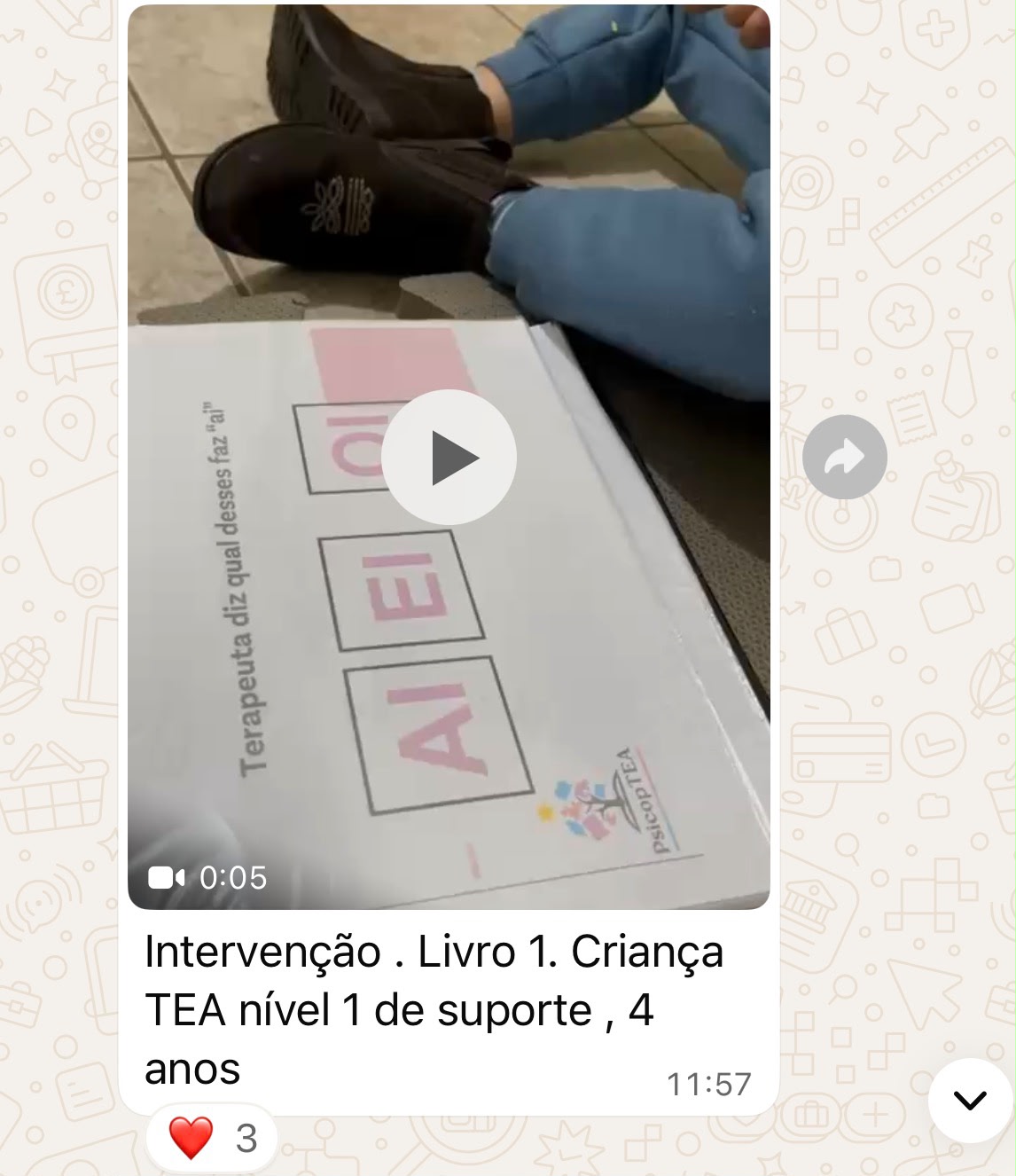 Intervenção livro 1 — TEA nível 1, 4 anos